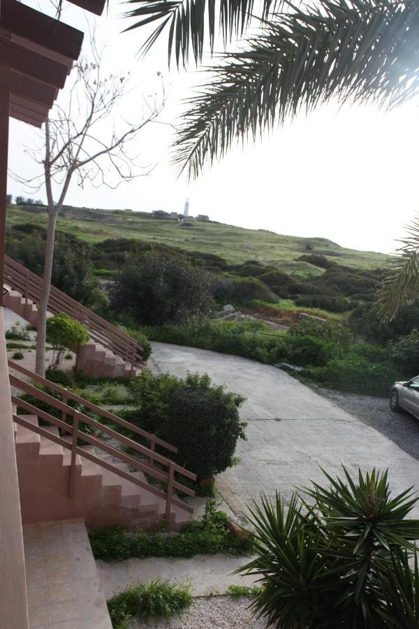 Ariadne Apt 103 -300M From Lighthouse Beach بافوس المظهر الخارجي الصورة